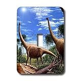 Review 3dRose LLC  / Dinosaur - Dinosaur Brachiosaurus - Light Switch Covers - single toggle switch