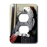 Birds - African Grey Parrot - Light Switch Covers - 2 plug outlet cover