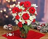Christmas Eve Bouquet with Vase