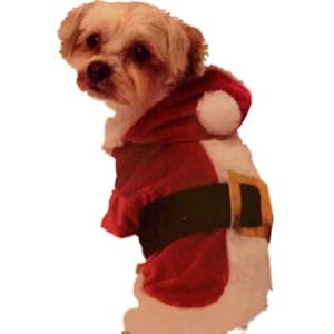 santa dog dress costume