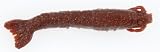  : Berkley Gulp! Saltwater 4" Shrimp, Root Beer Gold