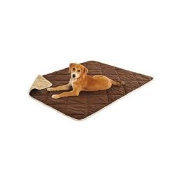 Dog Gone Smart Pet Throw, Canvas, Brown