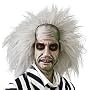 Beetlejuice Wig Adult