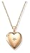 14k Gold Filled Heart w/ Diamond Accent, 18