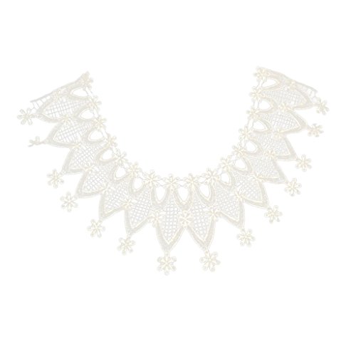 Embroidered Neckline Floral Lace Collar Venise Sewing Applique Trimmings - White, 25cmx10cm