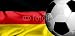 Wallmonkeys Peel and Stick Wall Decals - Euro 2008 - Flag of Germany - Removable Graphic
