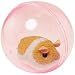 Happy Hamster in Ball