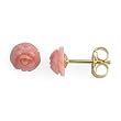Pink Coral Earrings in 14K Yellow Gold