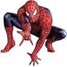 Product Spiderman 3 - Spider-Man III - Peel & Stick Accents - Wall Stickers.