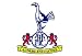 Tottenham Hotspur Football Shares