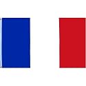 New 3x5 National Flag of France French Country Flags