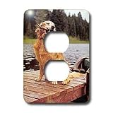 Dogs Golden Retriever - Golden Retriever - Light Switch Covers - 2 plug outlet cover