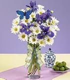 Daisy - Butterfly Bouquet