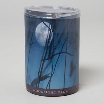 Enlighten Fall Decorative 15 Ounce Scented Jar Candle - Moonlight Glow (1)