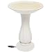 API 670  20 Inch Heated Birdbath On Pedestal