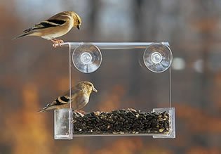 Duncraft Songbird Buffet