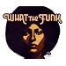 What the Funk: Eine Einf�hrung in funky Music