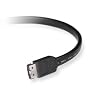 BELKIN F2N1192b01 External Serial ATA Cable (1 Feet)