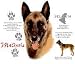 Belgian Malinois Adult T-Shirt