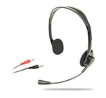 PC Headset and Microphone for Skype VOIP MSN Chatting