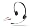 PC Headset and Microphone for Skype VOIP MSN Chatting