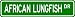 AFRICAN LUNGFISH Street Sign ~ Fishing ~ Great Fish Sign for your Lodge, Gameroom, Ba...
