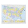 American Map 714883 Deluxe Laminated United States Political Map, 50w x 38h