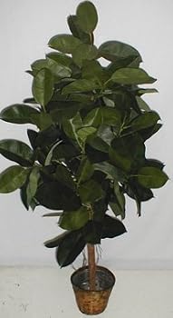 6' Artificial Rubber Plant