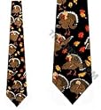 Thanksgiving TIES Turkeys Neckties
