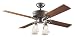 Hunter 23714 1896 Art Noveau Four-Light 52-Inch Five Blade Ceiling Fan, Antique Pewter with Clear Globes