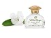 White Ginger Perfume Essence by Terra Nova, .5 oz