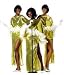 Motown Diva Costume (Glove, Wig and stockings sold separately)