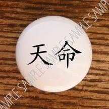 Chinese Lettering Symbol Word ~ Destiny ~ Drawer Pulls Knobs