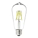 Parrot Uncle 6W LED Filament Light Bulb ST19 Vintage Edison Style Bulbs Cool Daylight White 6000K,60W Incandescent Bulb Replacement,E26 Medium Base Clear Glass Cover for LED Home Lighting