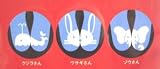 絵合わせキッズ<strong>インソール</strong>　お取替え３足パック（うさぎ・くじら・ぞう）