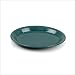 Fiesta 9-5/8-Inch Oval Platter, Evergreen