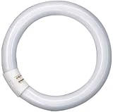 Osram GmbH L-Lampe Ringform L22W/840 d=29mm
