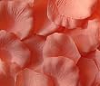 1000 Silk Rose Petals Wedding Favors - Solid Colors - Peach