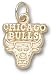 Chicago Bulls Logo 3/8