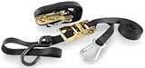 PARAGON POWERSPORTS TIEDOWN RATCHET CARABINER GRN HR20160