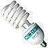KAEZI 85 Watt Studio Light Bulb 5500K CFL Day Light