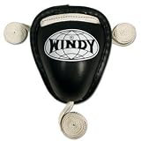 Windy Steel Cup