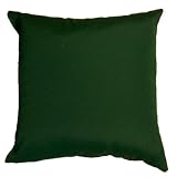 Sunbrella Throw Pillow Green