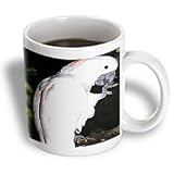 Birds - Moluccan Cockatoo - Mugs