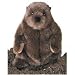 Plush Chuckwood Groundhog 11