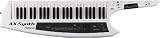 Roland AX Synth