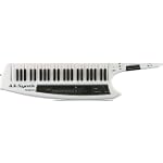SAVE $154 - Roland AX-Synth Shoulder Synthesizer Keyboard $1,095.00