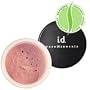 Bare Escentuals bareMinerals All-Over Face Color 0.03 oz A Little Sun