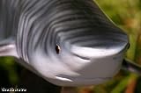 Taxidermy 18 Fiberglass Tiger Shark Fish Statue