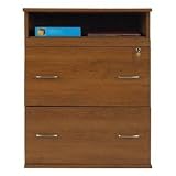 Carina Lateral File- Inspire Cherry